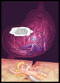 Thumbnail for version as of 18:04, 2 November 2009